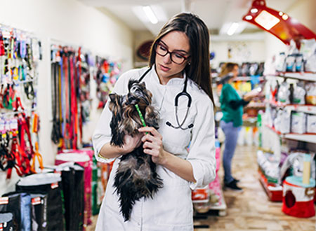 foreground shows veterinarian holding dog and with toothbrush while background shows pet accessories and shelves of food